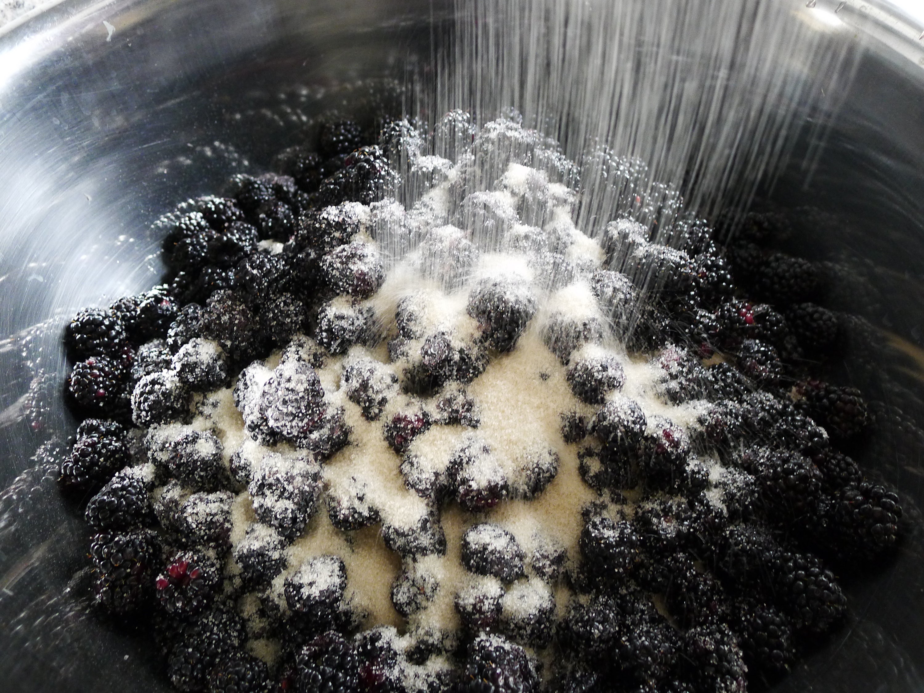 Queens Triple Crown Blackberry Cheong (pre-order; ships 12/17)