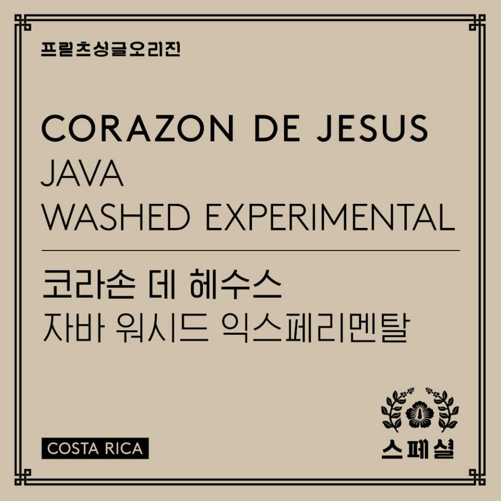 Fritz Coffee 200g Blends (from Seoul)